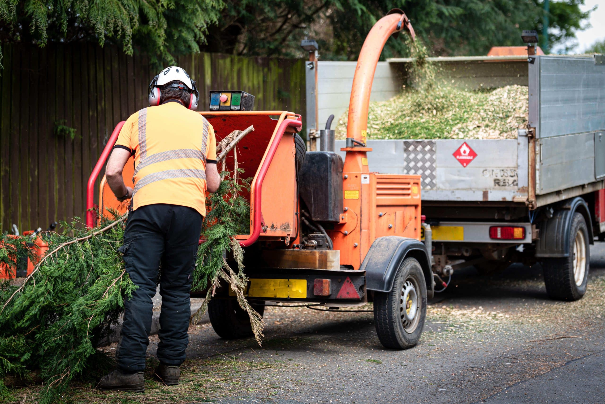 Tree Stump Grinding/Removal Bromley BR1